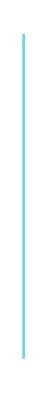 Untitled design (46)